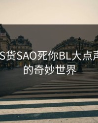 探索“S货SAO死你BL大点声叫BL”的奇妙世界