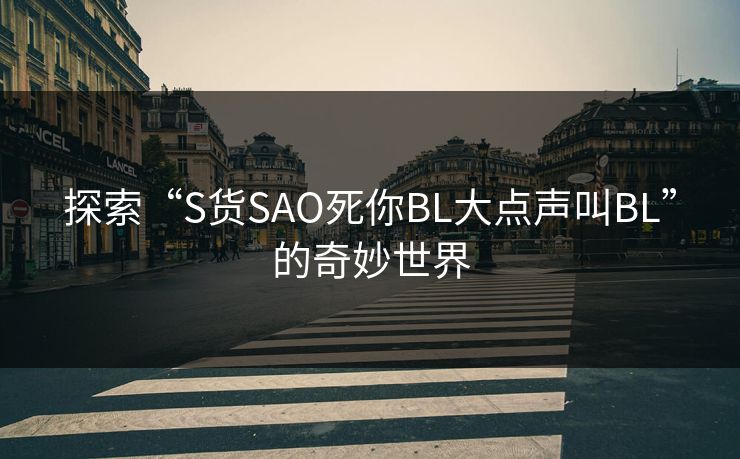 探索“S货SAO死你BL大点声叫BL”的奇妙世界