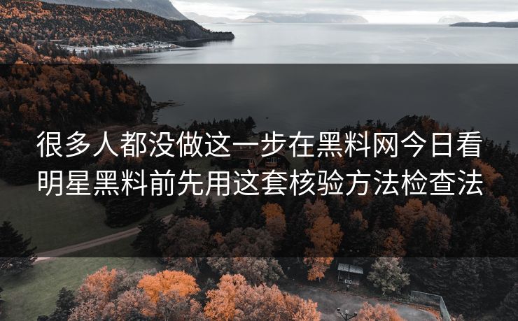 很多人都没做这一步在黑料网今日看明星黑料前先用这套核验方法检查法