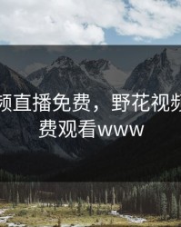 野花视频直播免费，野花视频直播免费观看www