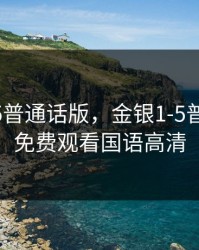 金银1-5普通话版，金银1-5普通话版免费观看国语高清