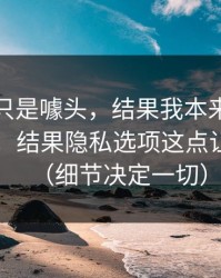 我以为只是噱头，结果我本来准备放弃91网，结果隐私选项这点让我回坑（细节决定一切）