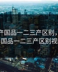 麻豆精产国品一二三产区别，麻豆精产国品一二三产区别视频