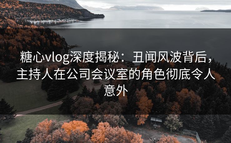 糖心vlog深度揭秘：丑闻风波背后，主持人在公司会议室的角色彻底令人意外