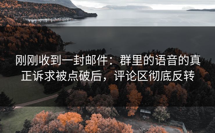 刚刚收到一封邮件：群里的语音的真正诉求被点破后，评论区彻底反转