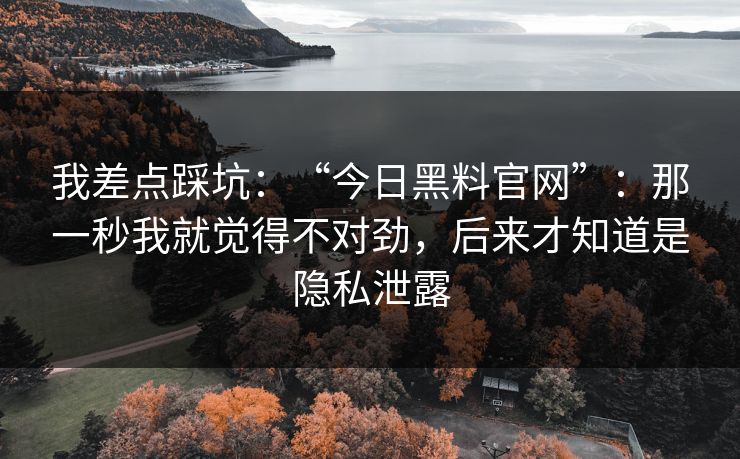 我差点踩坑：“今日黑料官网”：那一秒我就觉得不对劲，后来才知道是隐私泄露